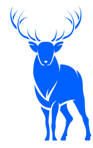 ELK Media Solutions